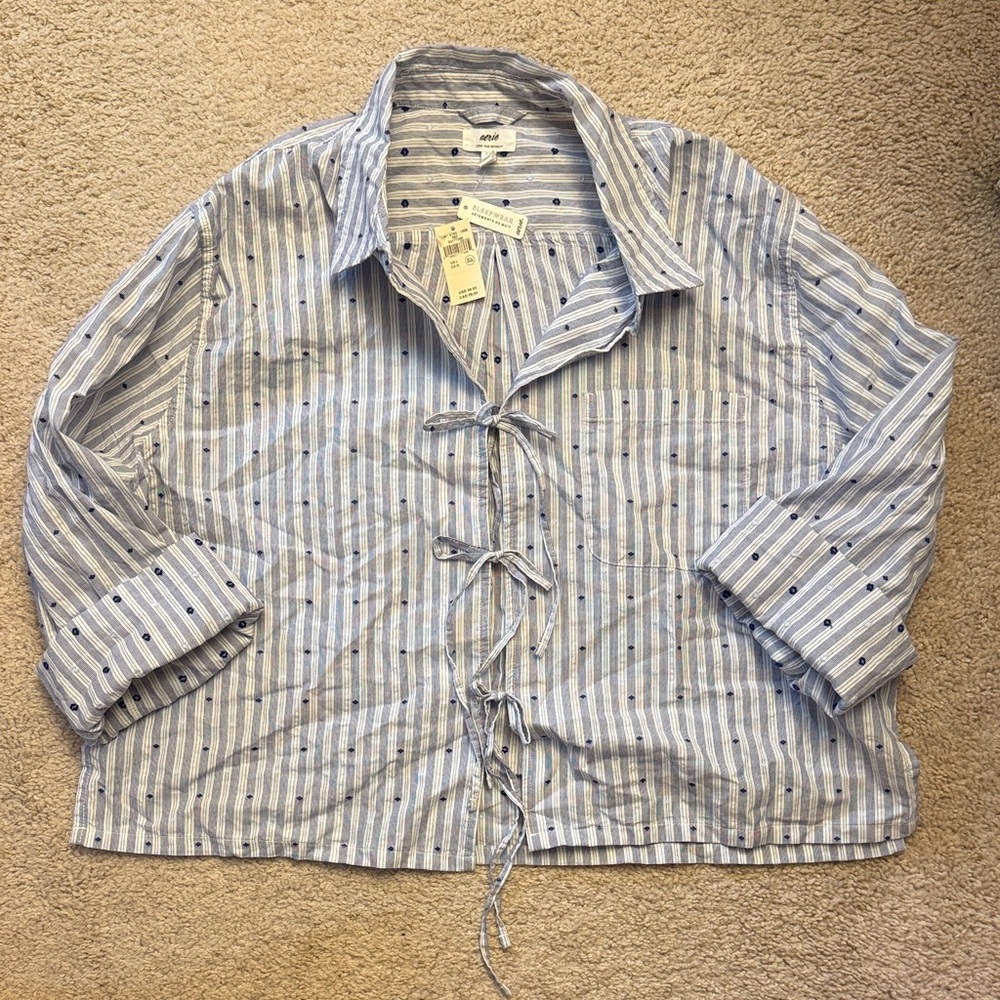 Aerie Blue Striped Button Down Shirt